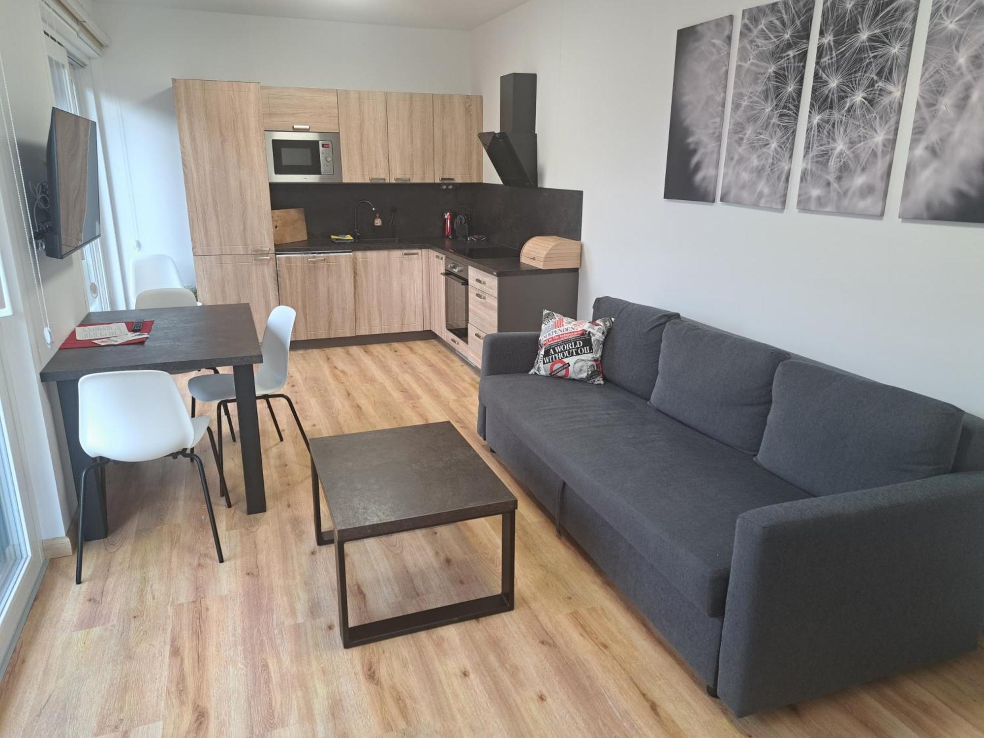 Apartmany - Male Lipno Černá v Pošumaví Rom bilde
